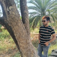 Akash Sikdar