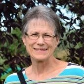 Wende Bailey