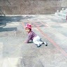 Mayank Gaurav