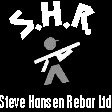 Steve Hansen