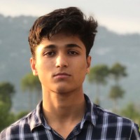 Muhammad Hisham Abbasi
