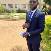 N’cho Emmanuel Vianney Behou