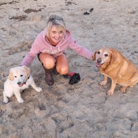 Claire Harvey