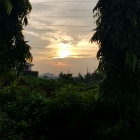 Pham Anh Tuan