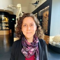 Alfonsina Arriaga Jimenez