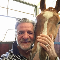 marco dalla casa