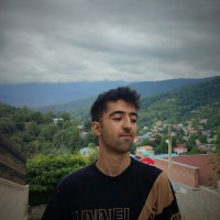 Pourya Karimi