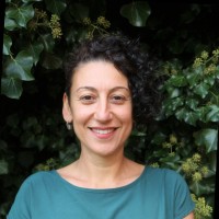 Seda Orhan