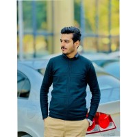 Malik Muhammad Hamza