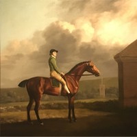 Sean S.