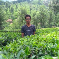 Thangaraj S