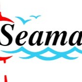 bdm seamanstaffingsolutions