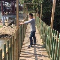 李双宏
