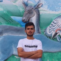 Aaroha Baral