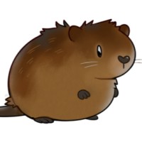 Mr Muskrat