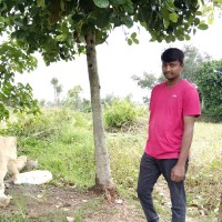 K Dhananjayulu