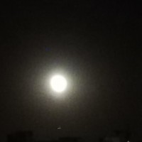 张洪海