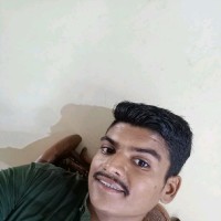 Tiger Desi