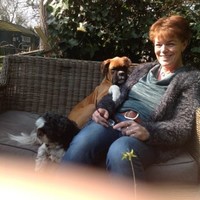 Marja Weverink