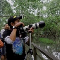 dedy istanto