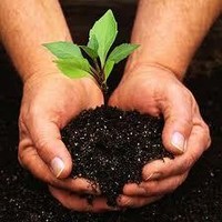 Biofertilizers And Biopesticides