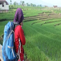 alia ary