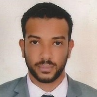 Nasr Eldin Hamid