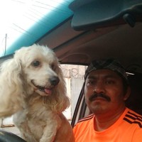 Elias Santo Jimenez Gonzalez