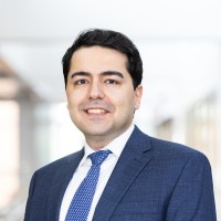 Ramin Hassan