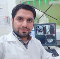 Mohammad Hossein Jamshidi
