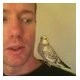 Scott Powell