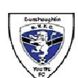 Dunshaughlin Youths F.C.