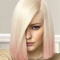 Shear Elegance