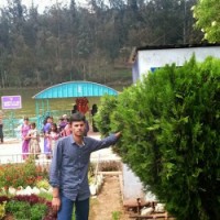 Ramesh Reddy Yeluru
