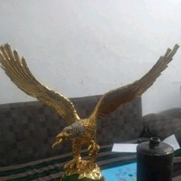 龚星宇