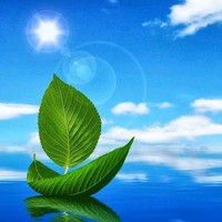 Selventhiran S