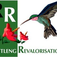 Jean-Luc Ritleng