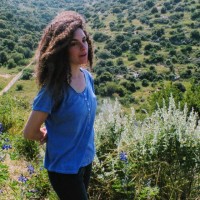 Daniel Oren