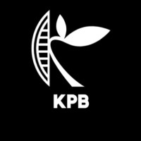 kp b