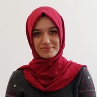 Büşra Nur Asa, Pspo I