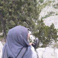 Tayyaba Rasheed