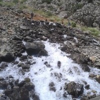 ciğdem aşan