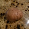 Sgt Potato