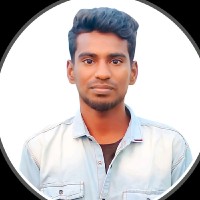 VIGNESH SELVARAJ