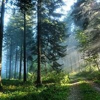 Александра Уницкая