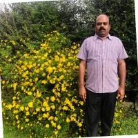 T K Karthik Kumar