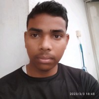 Rajesh Ray