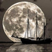 Sociedad Luna luis