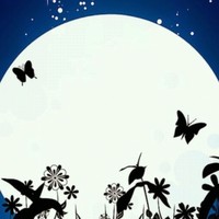 Nakyta Belkhiati-Croll