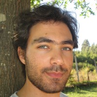 Carlos Miguel Correia Da Costa